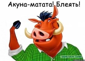 Продолжаем барражировать соцсети