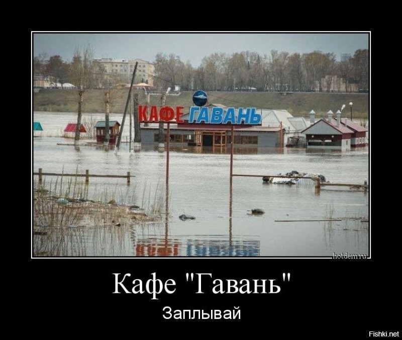 Продолжаем барражировать соцсети