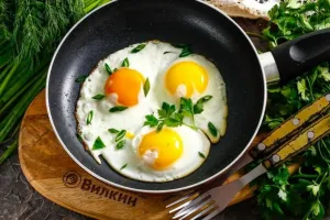 Жизнь мегаподов – птиц, которые не высиживают птенцов