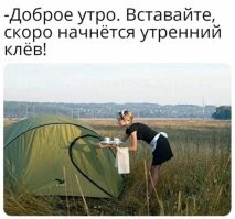 Продолжаем барражировать соцсети
