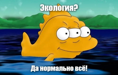 Сиамские близнецы-черепахи
