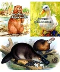 Скрины из соцсетей&nbsp;&nbsp;&nbsp;&nbsp;&nbsp;&nbsp;&nbsp;&nbsp;&nbsp;&nbsp;&nbsp;&nbsp;