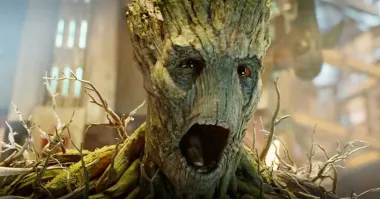 На все фото с корнями деревьев: 
Я есть Грут!