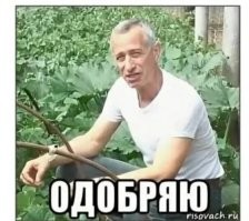 Маринованные огурцы с энергетиком⁠⁠