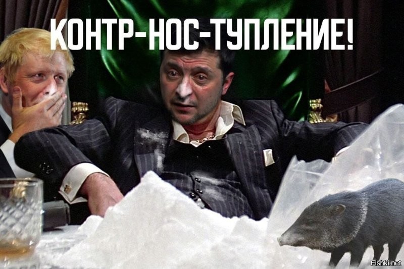 На судне с эквадорскими бананами в Санкт-Петербурге обнаружили 1,5 тонны кокаина на ₽20 млрд