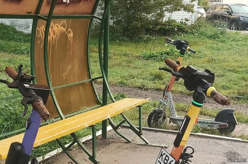 Совсем страх потеряли