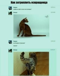 Не ищите здесь смысл. Здесь в основном маразм