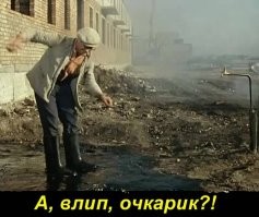 Может он в мазут вляпался?