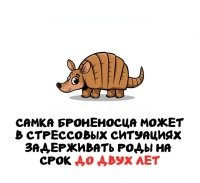 Вот это стрессс. А у офисных хомячков, так, мелкое неудобство.