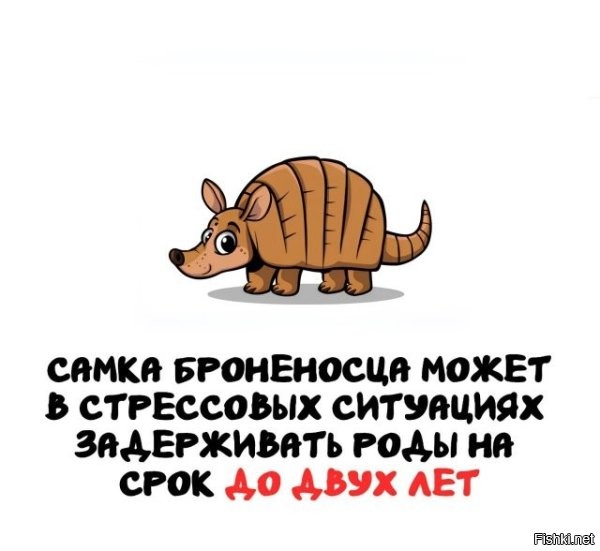 Вот это стрессс. А у офисных хомячков, так, мелкое неудобство.