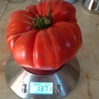 2 фунта??? Тут на фишках 1,3 кг есть