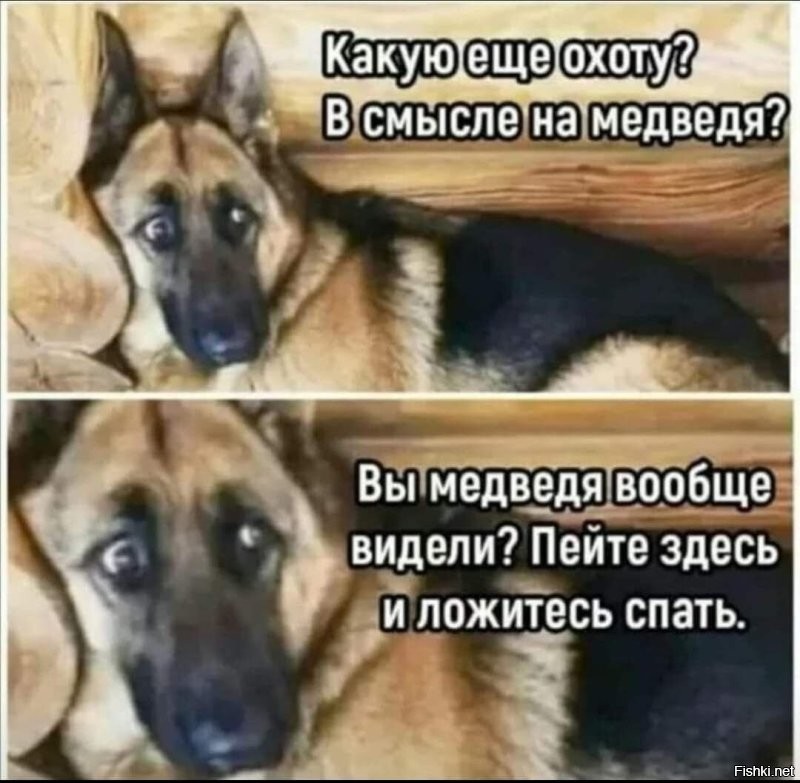 Последние мгновения жизни путешественника, встретившего медведя в Греции