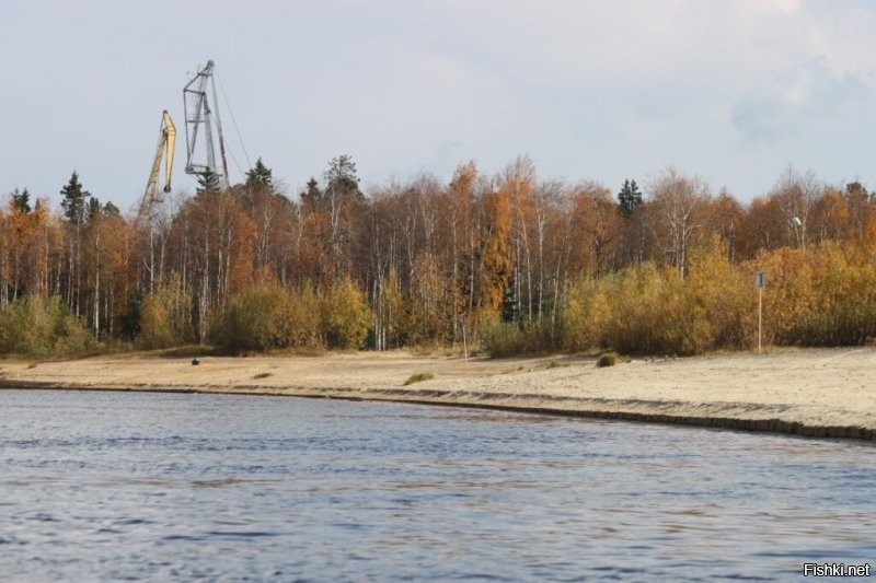 Солянка от 18.09.2025