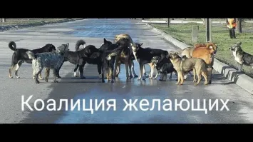 Политическая рубрика от&nbsp;NAZARETH за&nbsp;18.09.25. Новости, события, комментарии - 1897