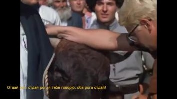 В Беларуси задержали мужчин, издевавшихся над оленем