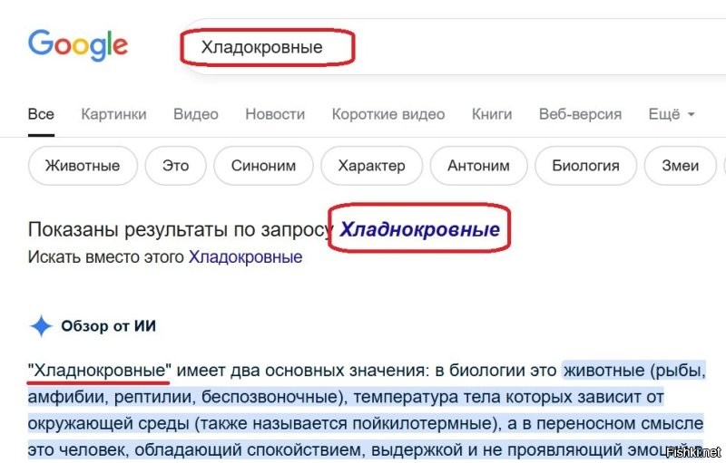 Жизнь мегаподов – птиц, которые не высиживают птенцов