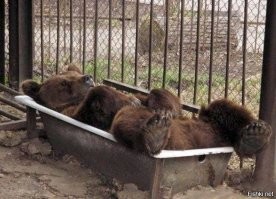 Тихий час...