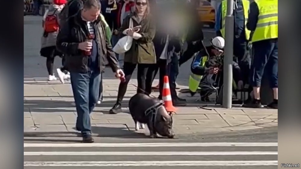 Ну чудики всегда были. Сомневаюсь что заводят чтобы Чебуреки не нападали.
Особенно последняя фотка, вырезал мужика, не вписывается в легенду)))