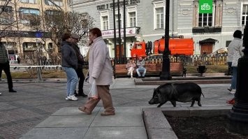 Конечно... И Питер, и Москва.