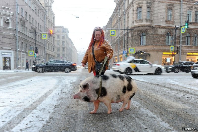 Конечно... И Питер, и Москва.