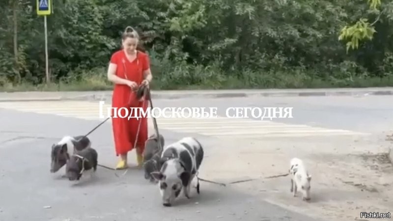 Конечно... И Питер, и Москва.