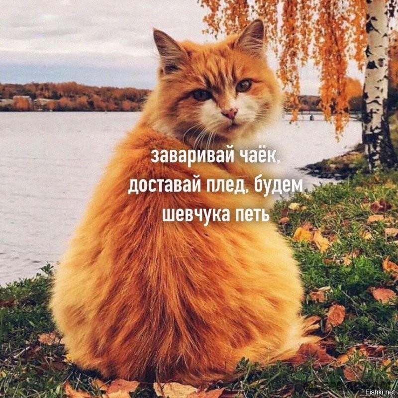 Солянка от 20.09.2025