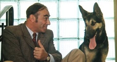 Политическая рубрика от&nbsp;NAZARETH за&nbsp;19.09.25. Новости, события, комментарии - 1898