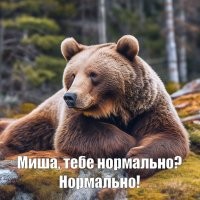 "Пикантное" видео с медведем