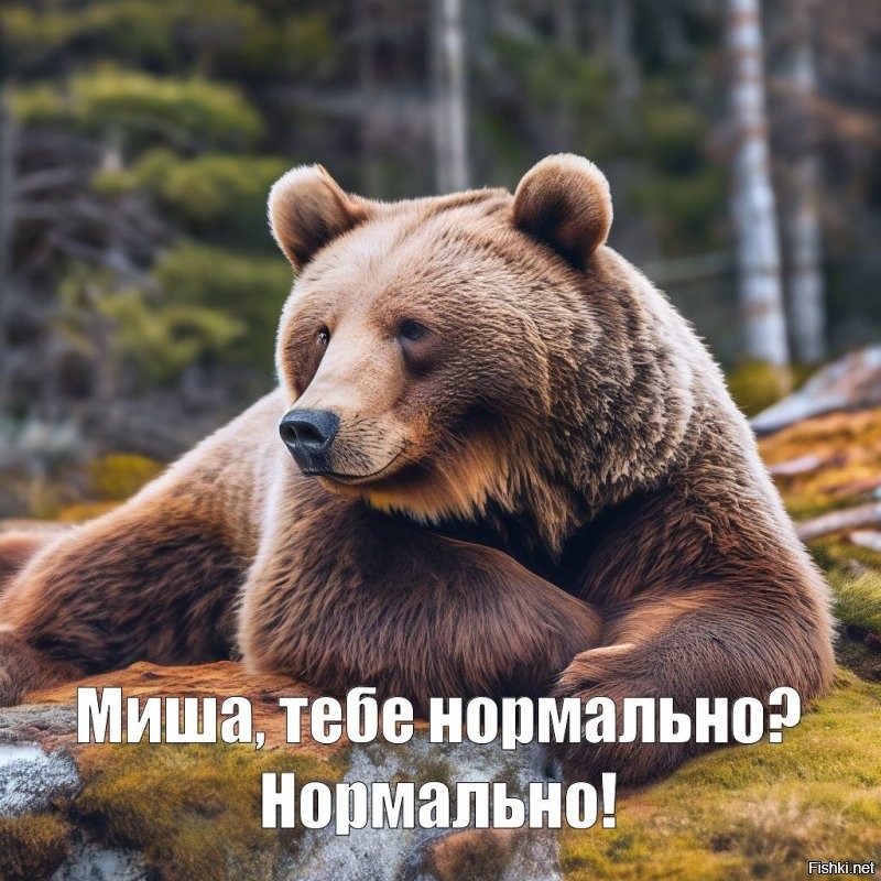 Пикантное видео с медведем
