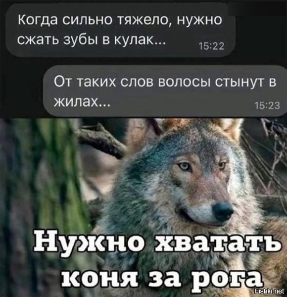 - Завали хлебало.
- Кому?