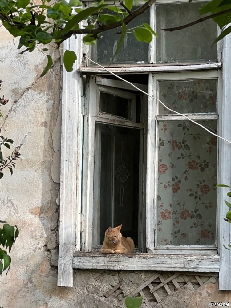 И чо , чо там ??? ...