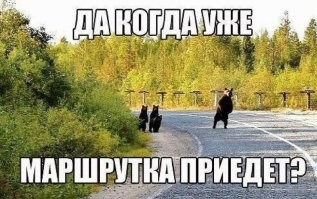 Всё вразнобой&nbsp;