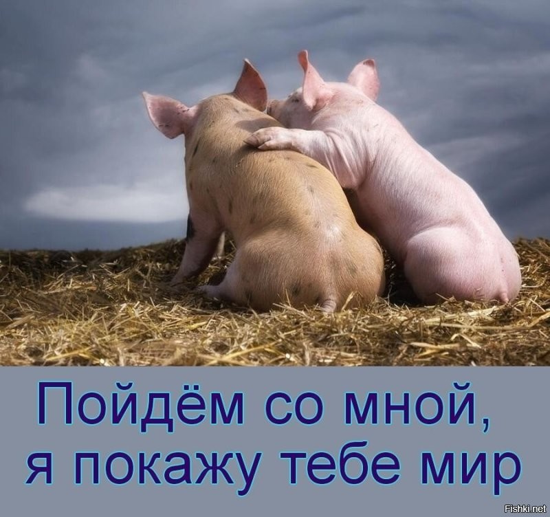 Всё вразнобой&nbsp;