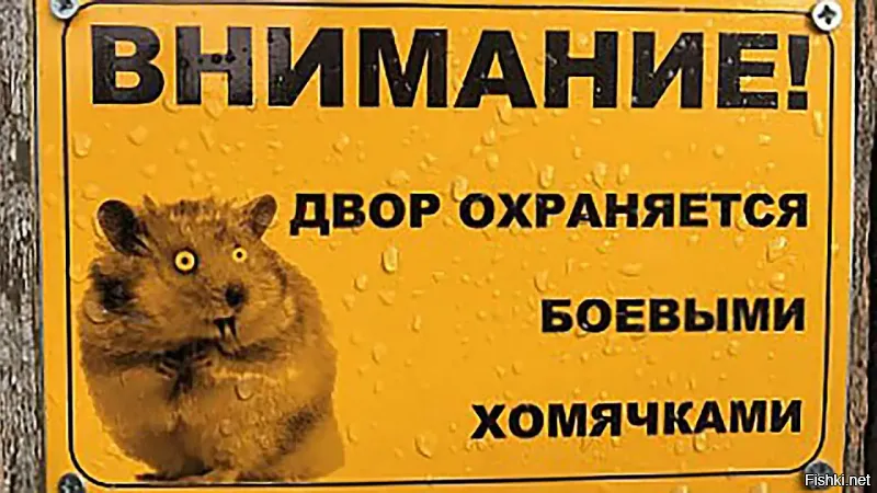 Хомяк охраняет свою территорию