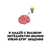 Потому что тупые бесят!