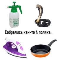 Попугай пародирует звук работы пульверизатора