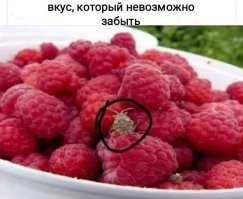 Скрины из соцсетей&nbsp;&nbsp;&nbsp;&nbsp;&nbsp;&nbsp;&nbsp;&nbsp;&nbsp;&nbsp;&nbsp;&nbsp;