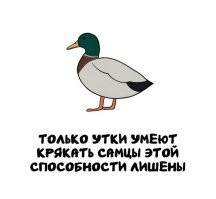 У человеков примерно та же херня