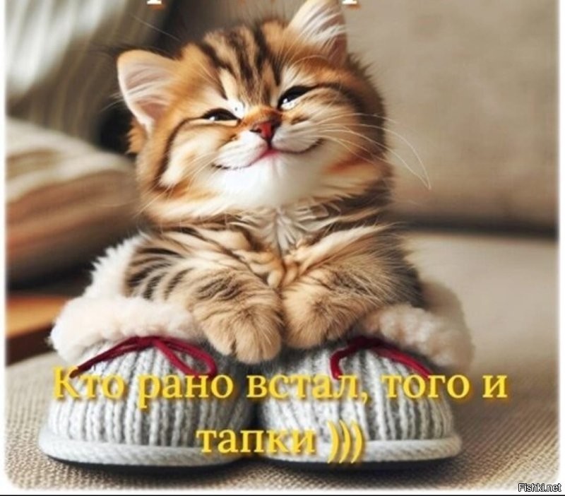 Доброе утро
