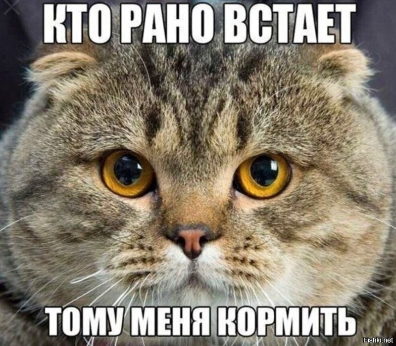 Доброе утро