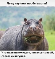 Скрины из соцсетей&nbsp;&nbsp;&nbsp;&nbsp;&nbsp;&nbsp;&nbsp;&nbsp;&nbsp;&nbsp;&nbsp;&nbsp;