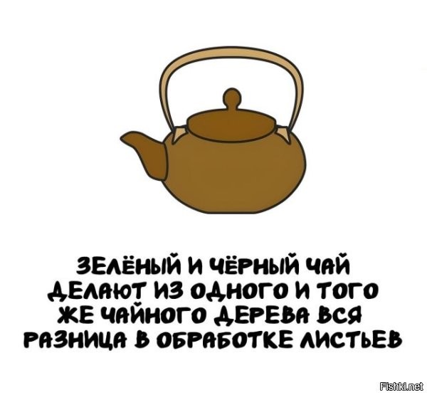 С оливками та же фигня