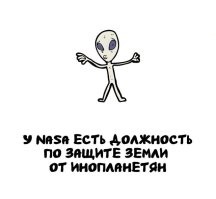 Начальник отдела по защите земли от инопланетян