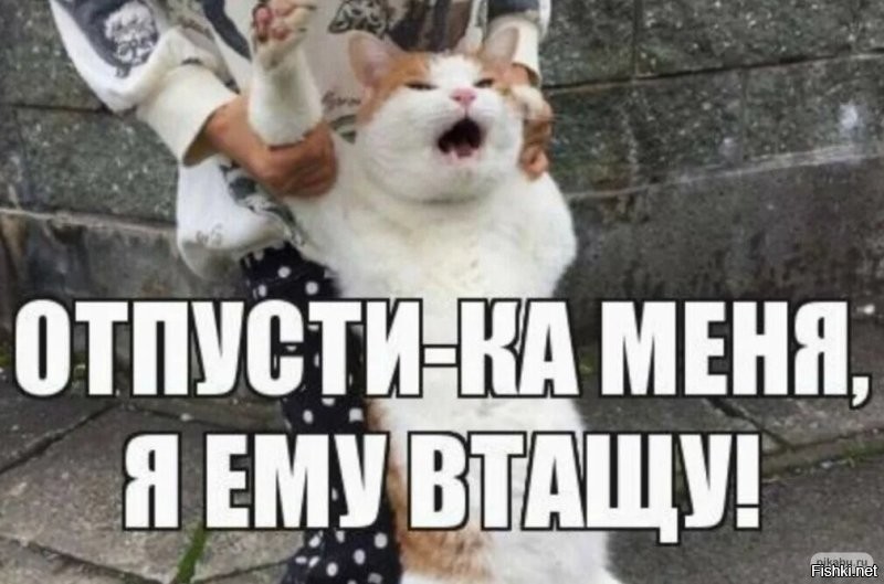 Японцы которые увидели)))