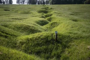 Как я хочу, чтобы все окопы на планете Земля выглядели как на картинке.