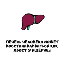 друг-алкаш просит с этого места поподробнее