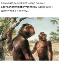 Квадробер 80 уровня: девушка много лет передвигается на четвереньках