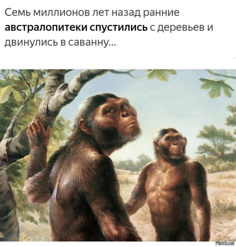 Квадробер 80 уровня: девушка много лет передвигается на четвереньках