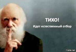 Эксперименты с кофейными напитками зашли слишком далеко