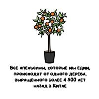 Какая херня!!! Кто у них биологию преподавал, дворник-таджик?